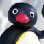 NOOT NOOT