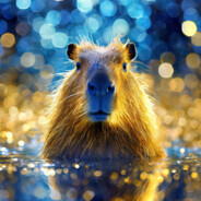 Moin avatar