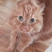 Томас шо с тобой?