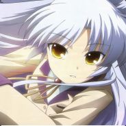 windxx(高性能版)