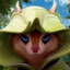 HoodWink