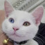 Fred