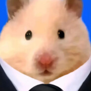 鼠鼠我啊......