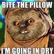wicket