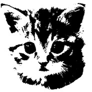 Горькая попка D: