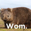 wom