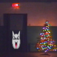 𝕵𝖔𝖘𝖍𝖚𝖆