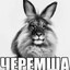 0 дней без депа