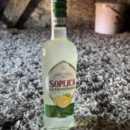 fotoradar AdrenalinaRP