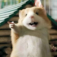 玩铃兰姐妹的春风精灵