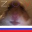 Hamster shadoVV