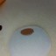 grilledguava