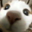 fufu