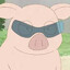 pig