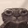 le cat