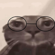 le cat