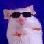 el rato