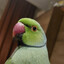 sHuMa