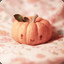 小南瓜pumpkin