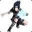 SASUKE