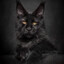 maine coon