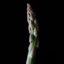 VoidAsparagus