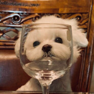 小心黄头发的妹妹