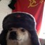 Soviet Dog