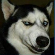 晚睡早起傻一天