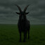 Black Philip