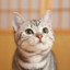 su_lin