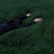 +Q看蟹皇堡秘方