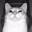 loni