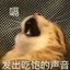 太阳蛇
