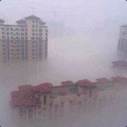 头给你！过来拿！