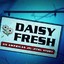 Daisy Fresh