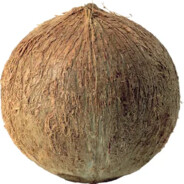 Coconut