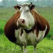 Big Fat Cute Cow