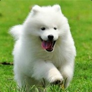 放过我好吗？？！