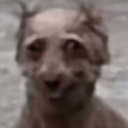 明白蛆理解蛆成为蛆