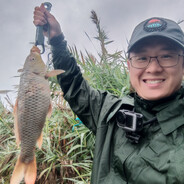 滚滚邕江东逝水