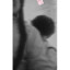 favorite person ♥𝔸III.XXII