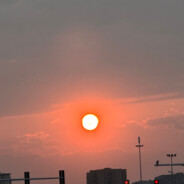 哑巴吃黄连 nt吃双黄连