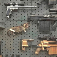 𝖒𝖔𝖗𝖌𝖆𝖓