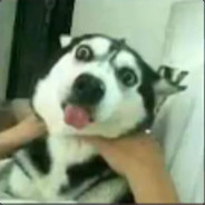 老子特么掐死你