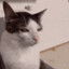 ☂ Tom