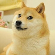 海外迟钝（老唐求追）