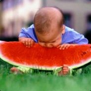 Watermelon Eater