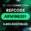 Arwin CS2-CASES.COM