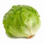 lechuga